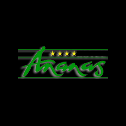 Ananas Otel logosu